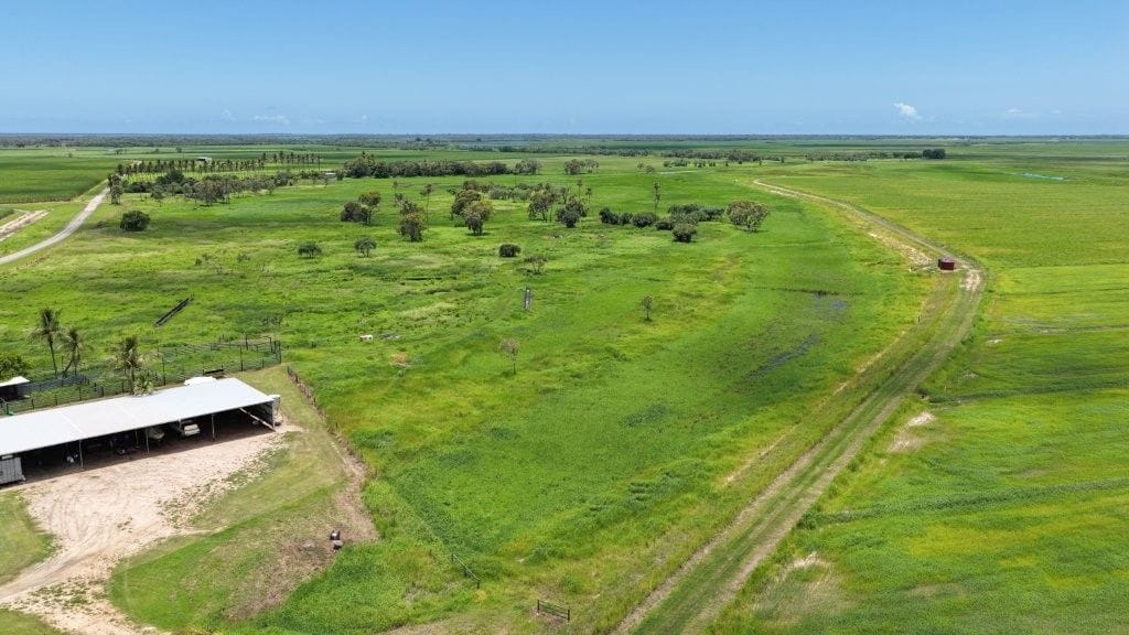 Becker Road Hay & Cattle, 162 Becker Road, Brandon