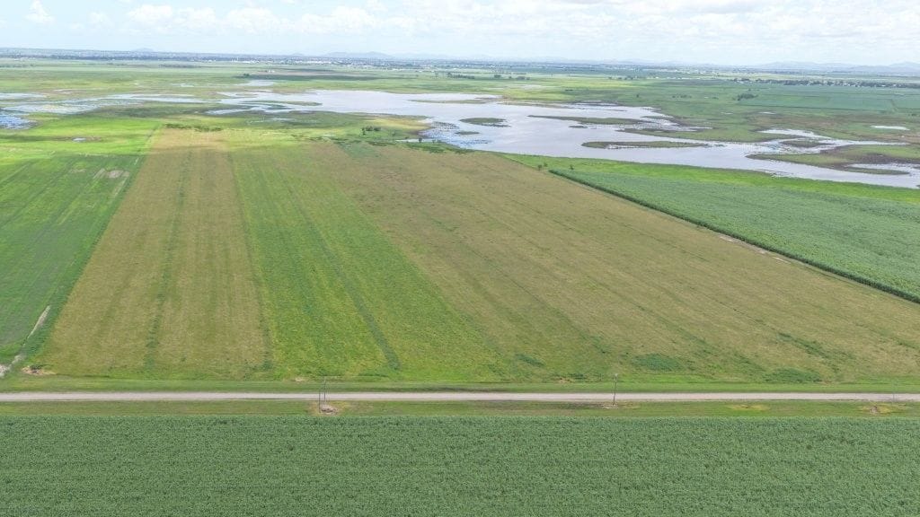 Becker Road Hay & Cattle, 162 Becker Road, Brandon