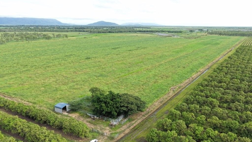 Farming property, Giru