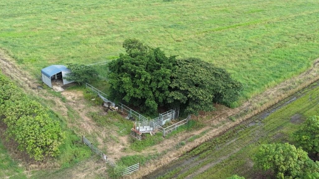 Farming property, Giru