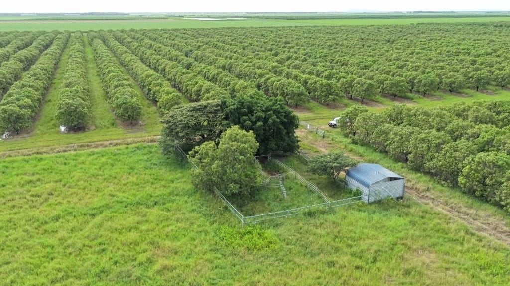 Farming property, Giru