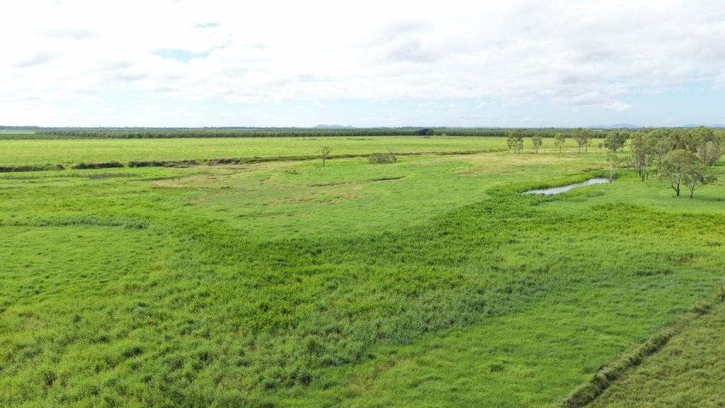 Farming property, Giru