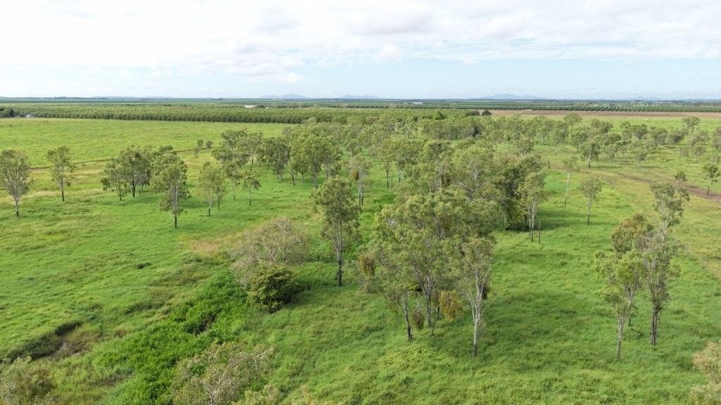 Farming property, Giru