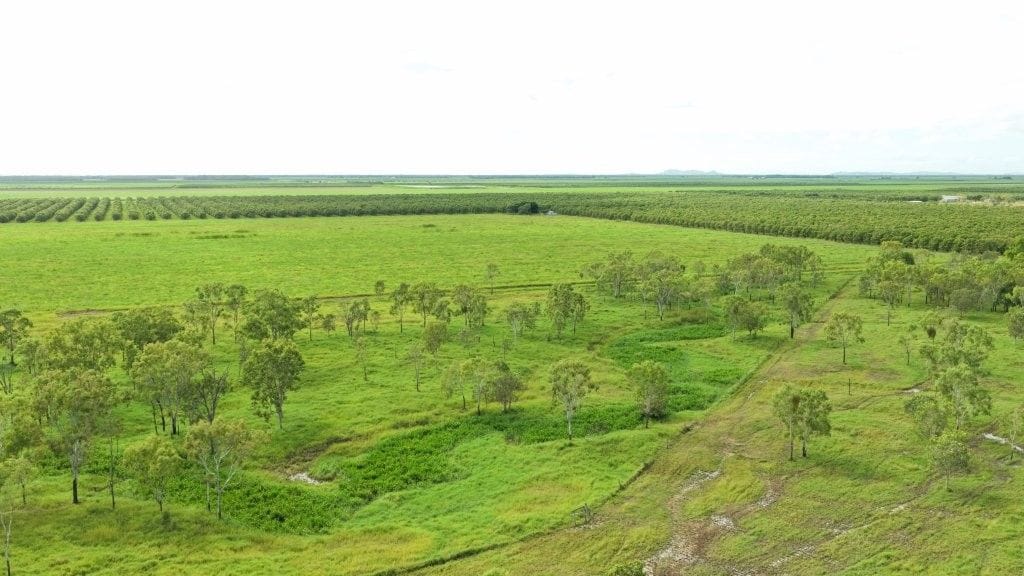Farming property, Giru