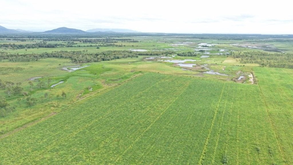 Farming property, Giru