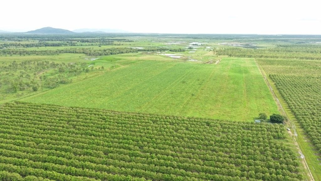 Farming property, Giru