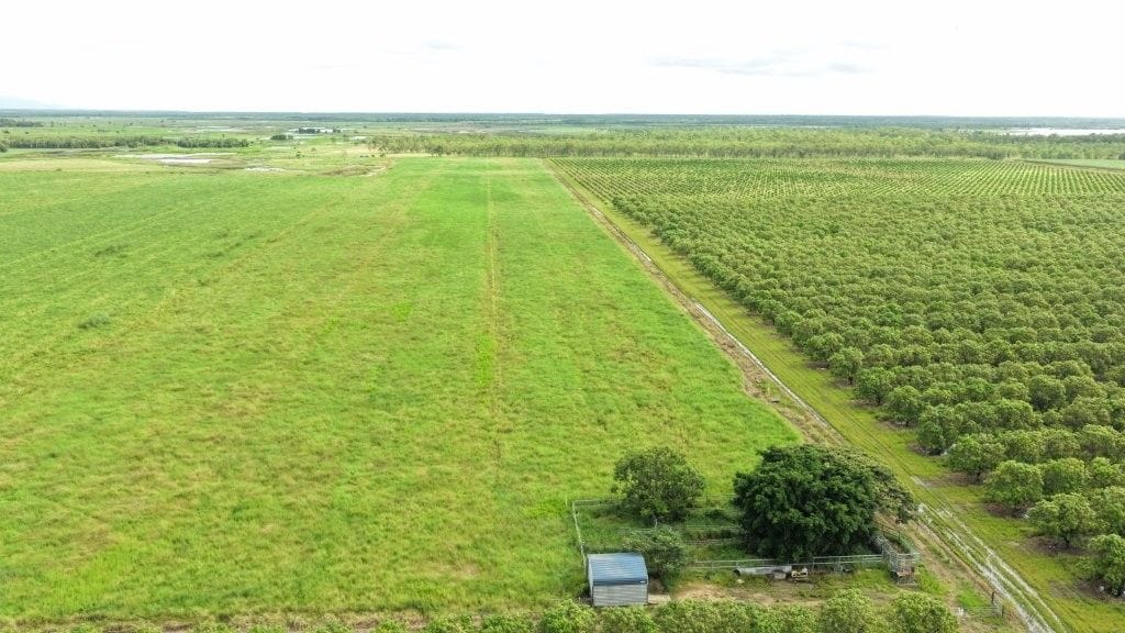 Farming property, Giru