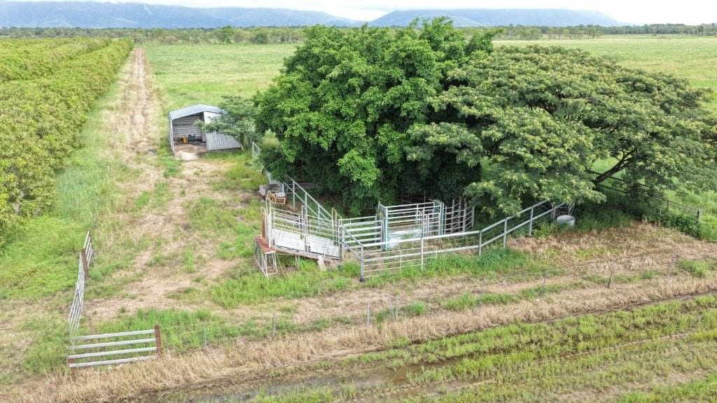 Farming property, Giru