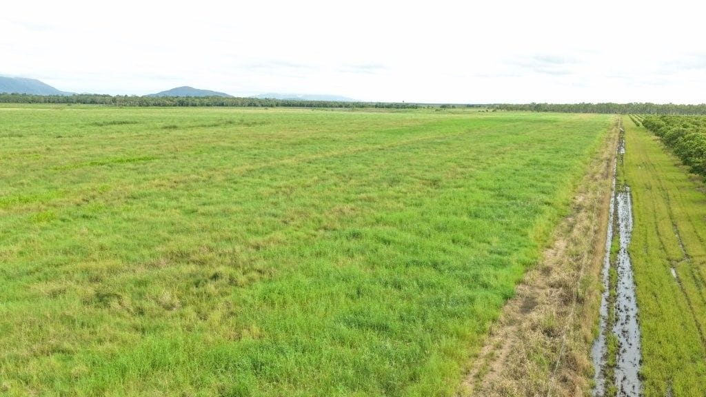 Farming property, Giru