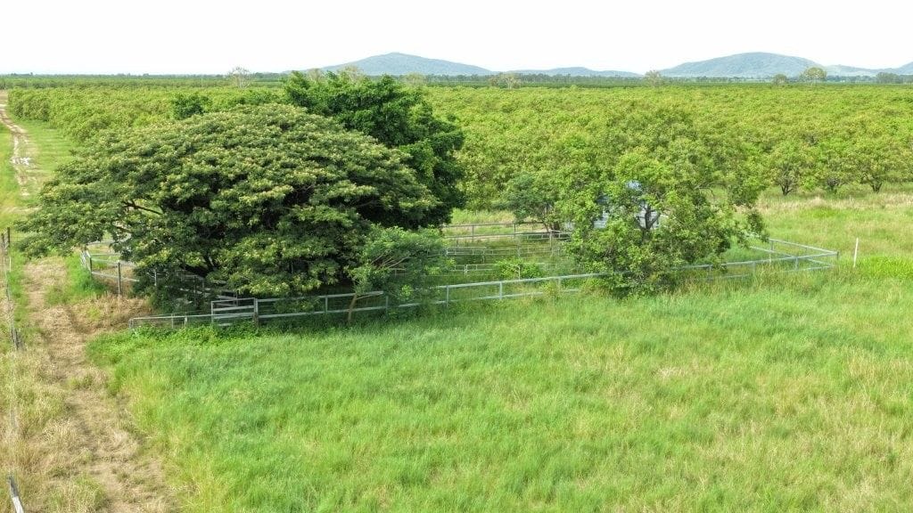 Farming property, Giru