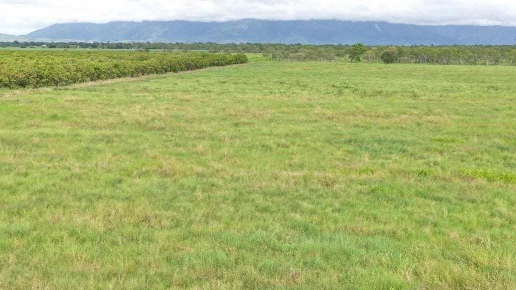 Farming property, Giru