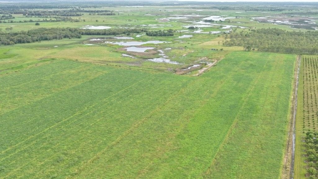 Farming property, Giru