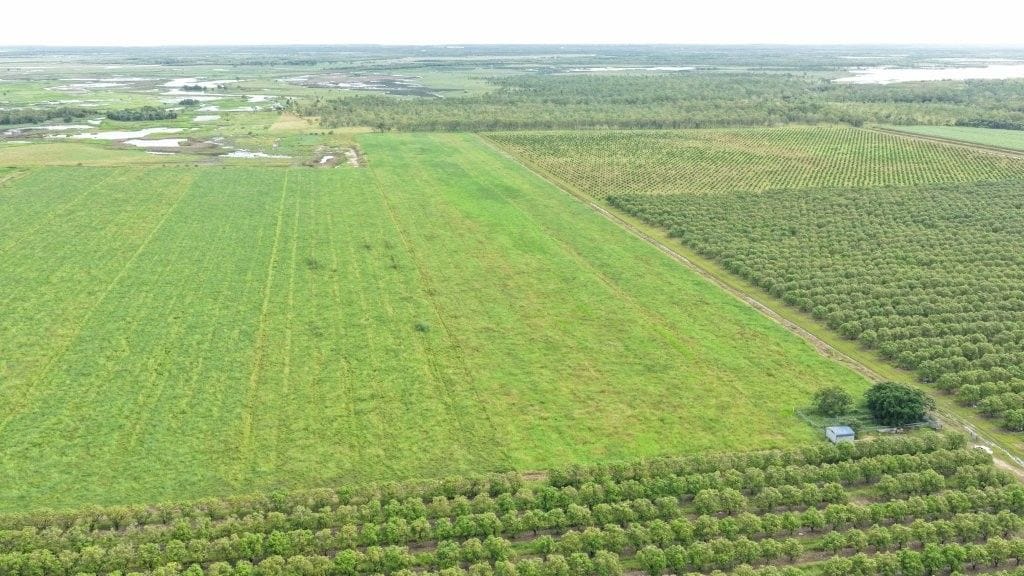 Farming property, Giru