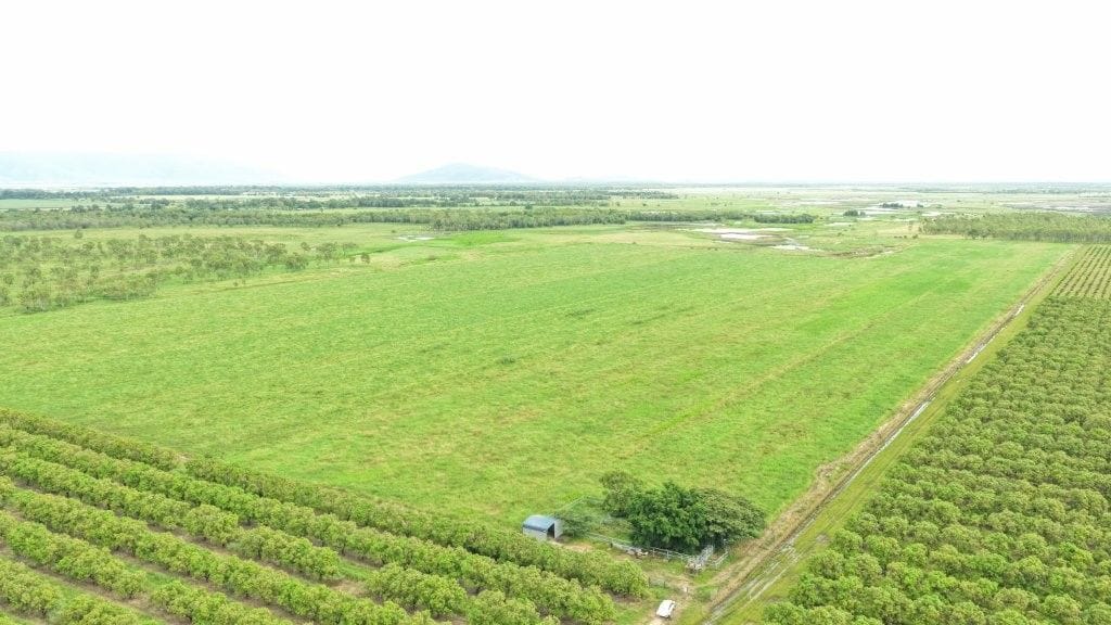 Farming property, Giru