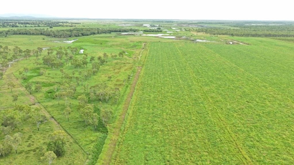 Farming property, Giru