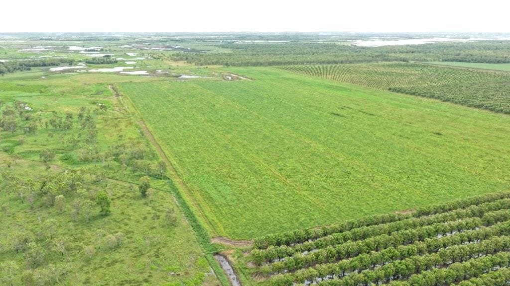 Farming property, Giru