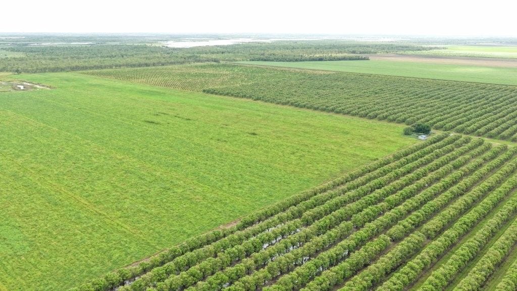Farming property, Giru