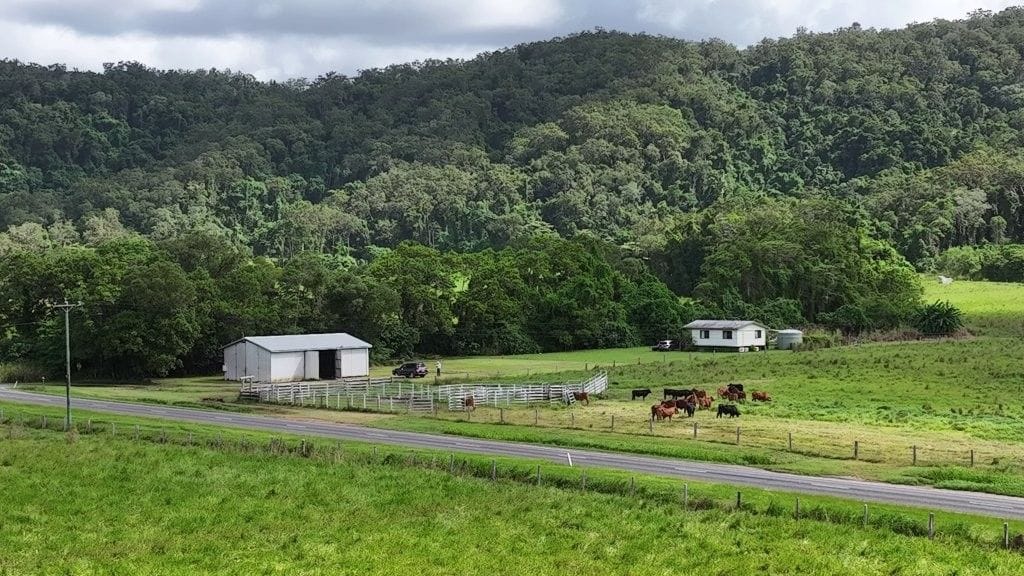 Lower Daintree Aggregation, via Mossman Nth Qld
