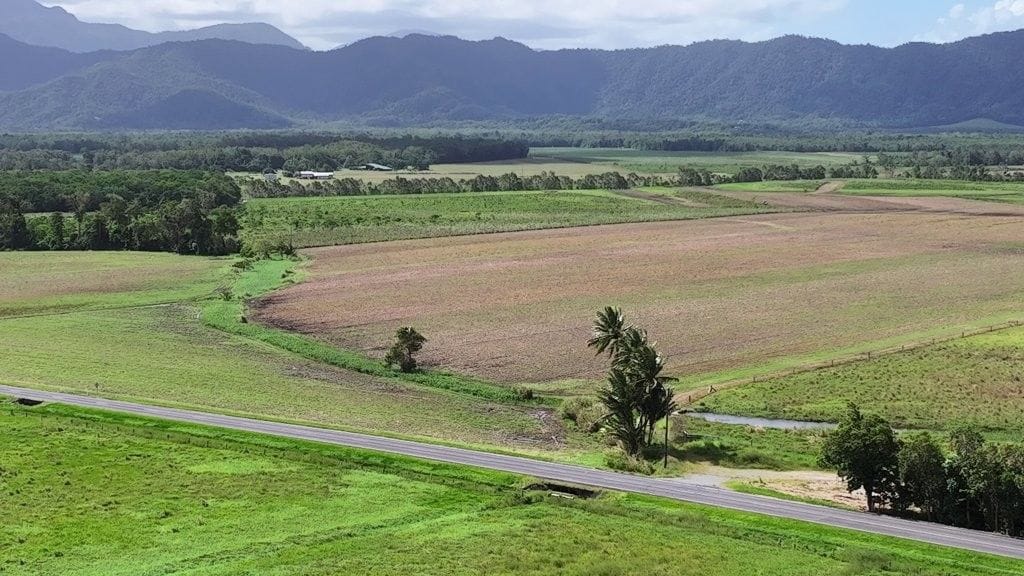 Lower Daintree Aggregation, via Mossman Nth Qld