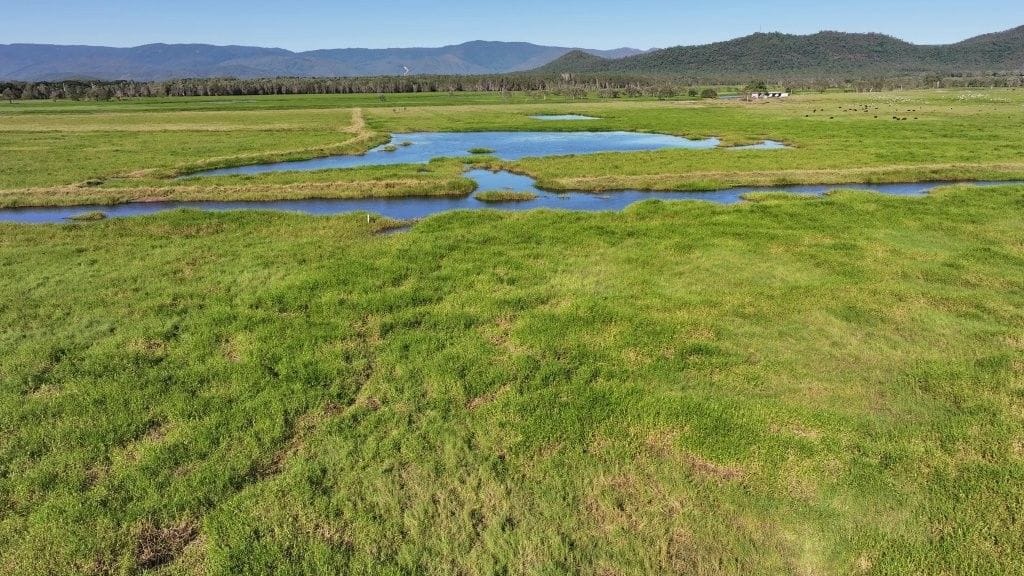 Riverlands Grazing, via Ingham