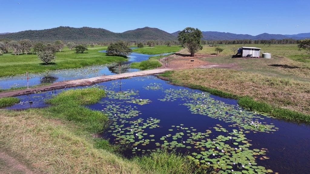 Riverlands Grazing, via Ingham