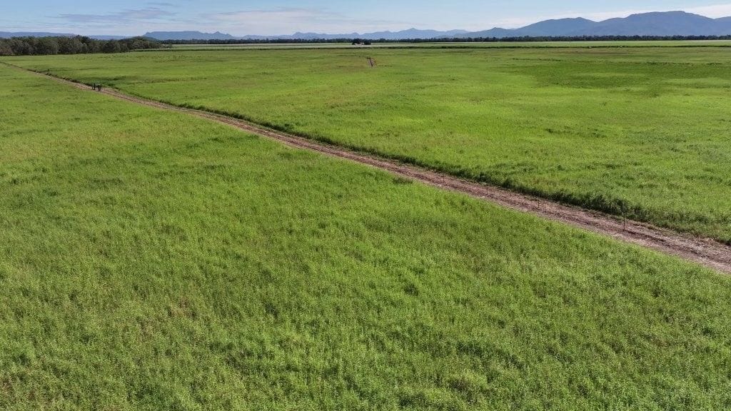 Riverlands Grazing, via Ingham