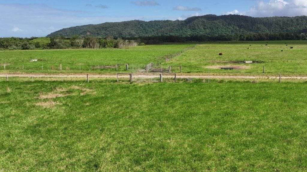 Lower Daintree Aggregation, via Mossman Nth Qld