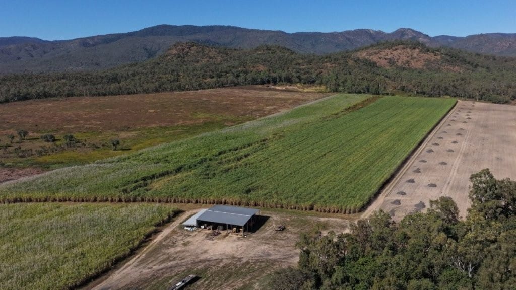 Allendale Road Farm