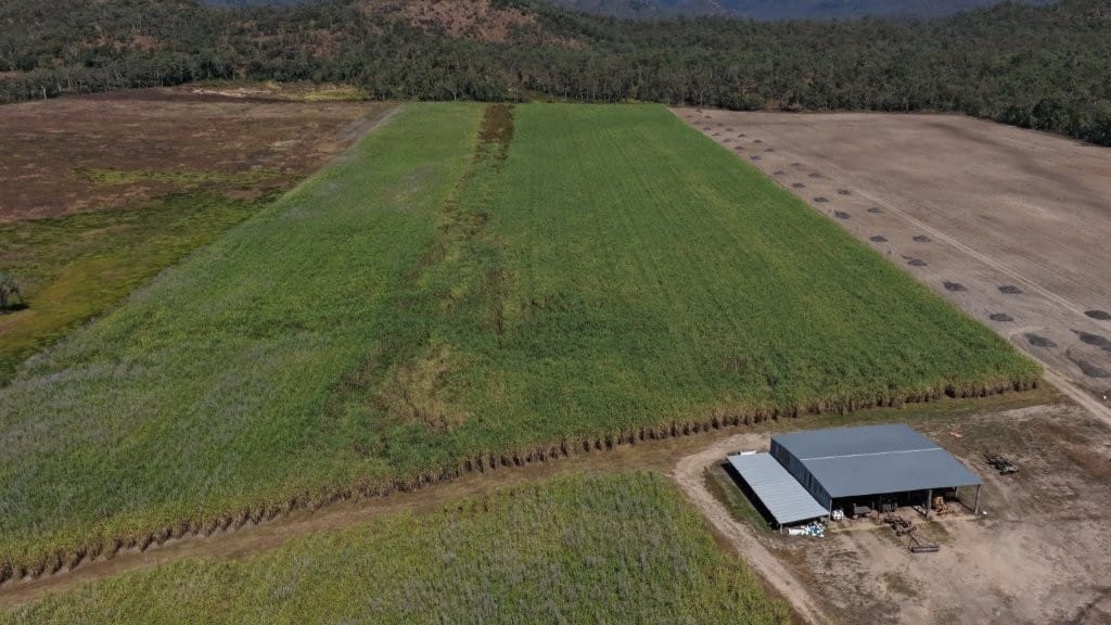 Allendale Road Farm