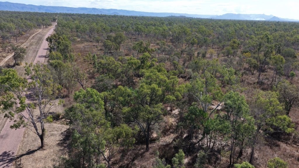 244 Jones Road, Woodstock