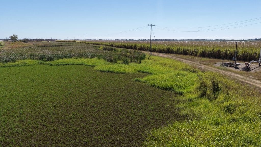 25 Lochinvar Road Farm