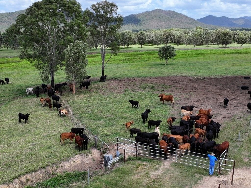 Riverlands Grazing, via Ingham