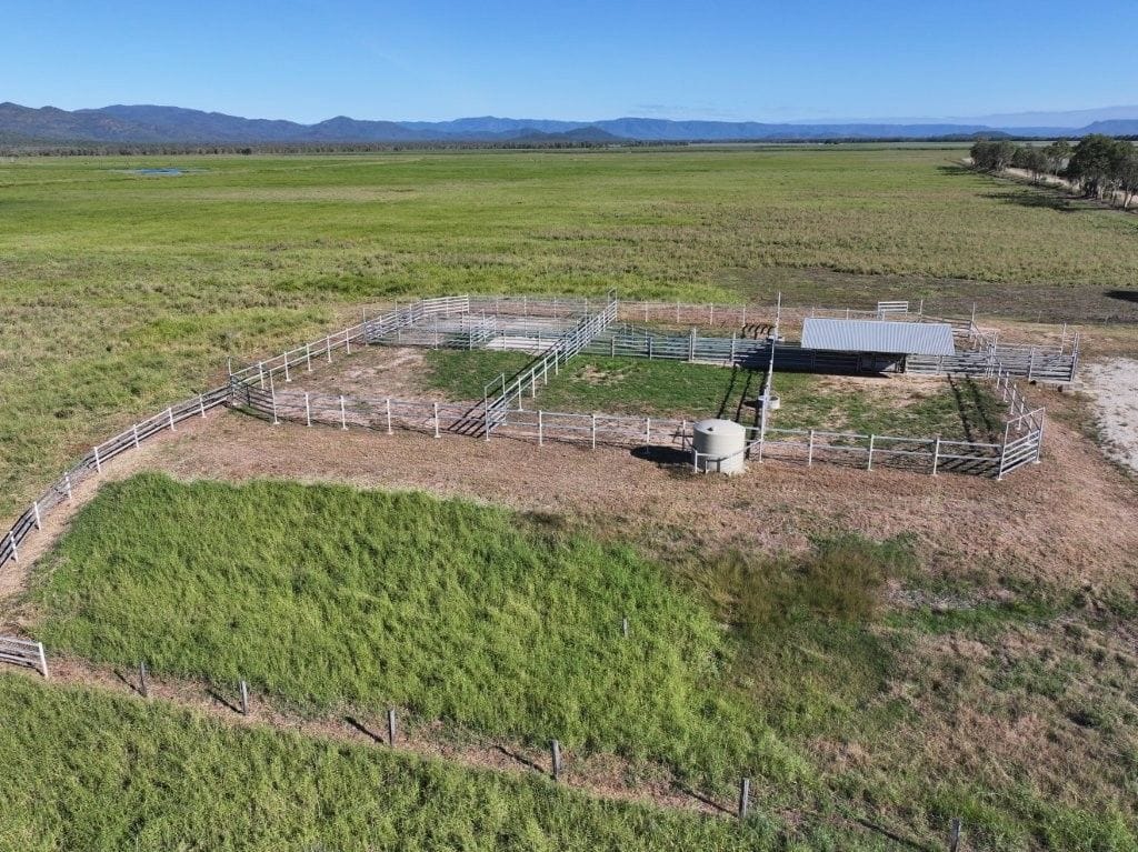 Riverlands Grazing, via Ingham