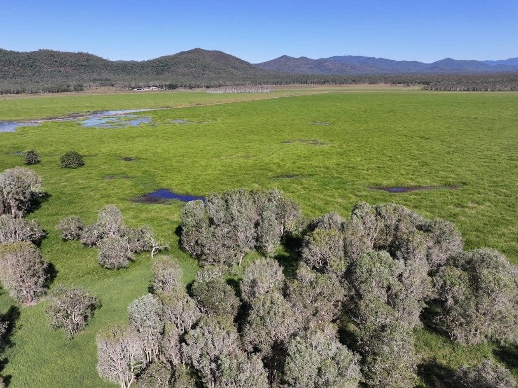 Riverlands Grazing, via Ingham