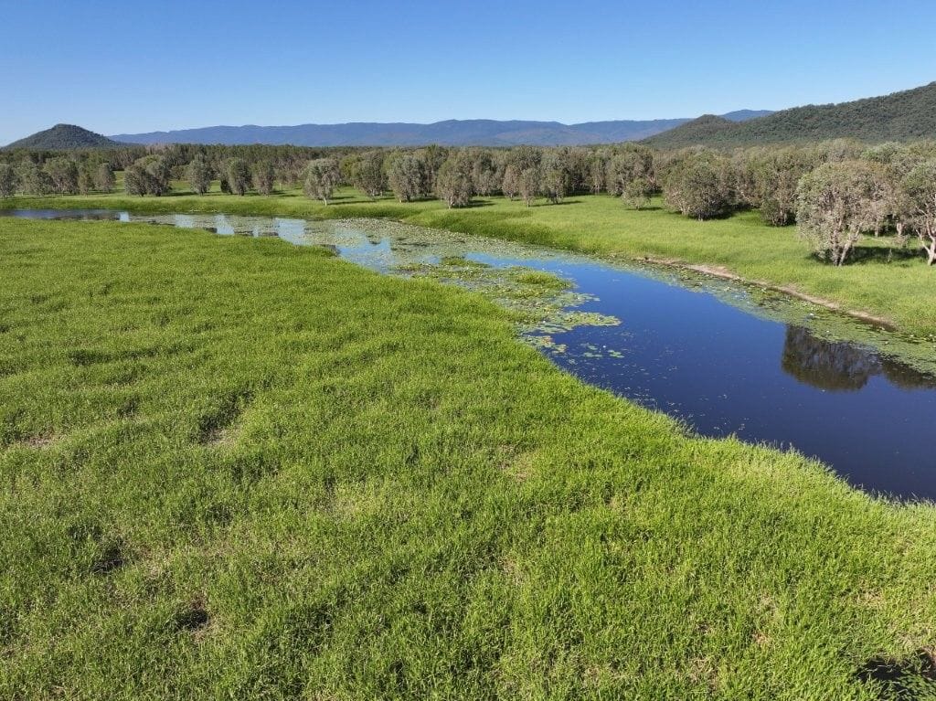 Riverlands Grazing, via Ingham