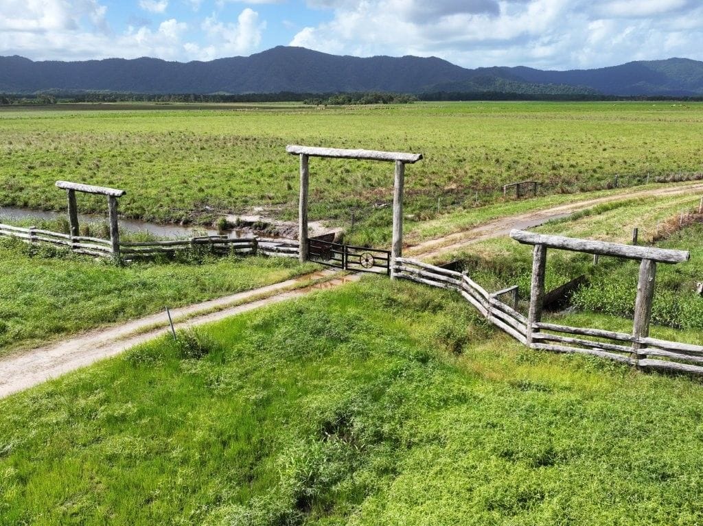 Lower Daintree Aggregation, via Mossman Nth Qld