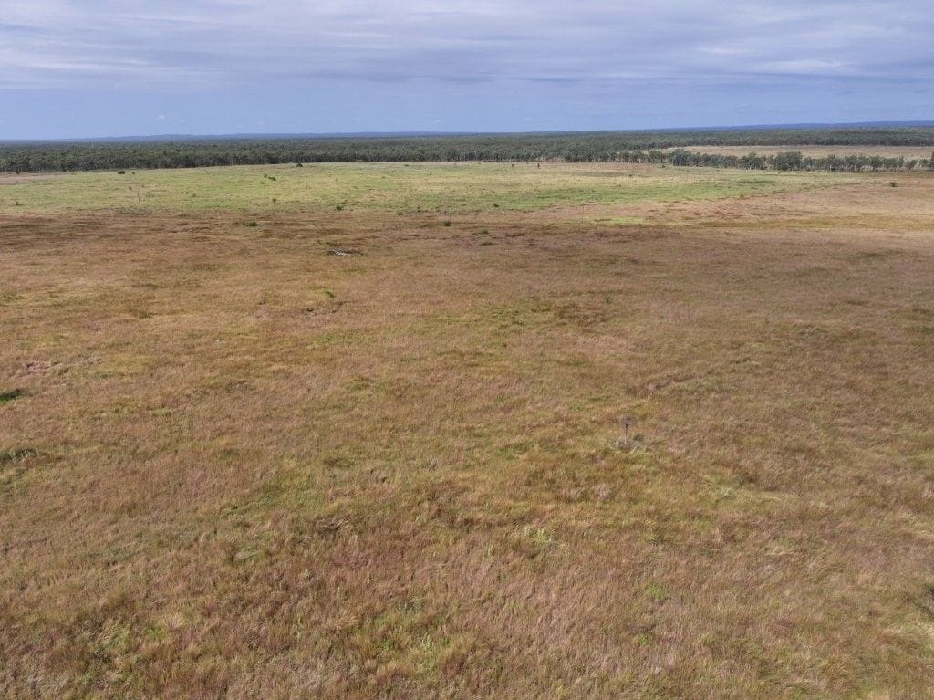 Cape River, Pentland