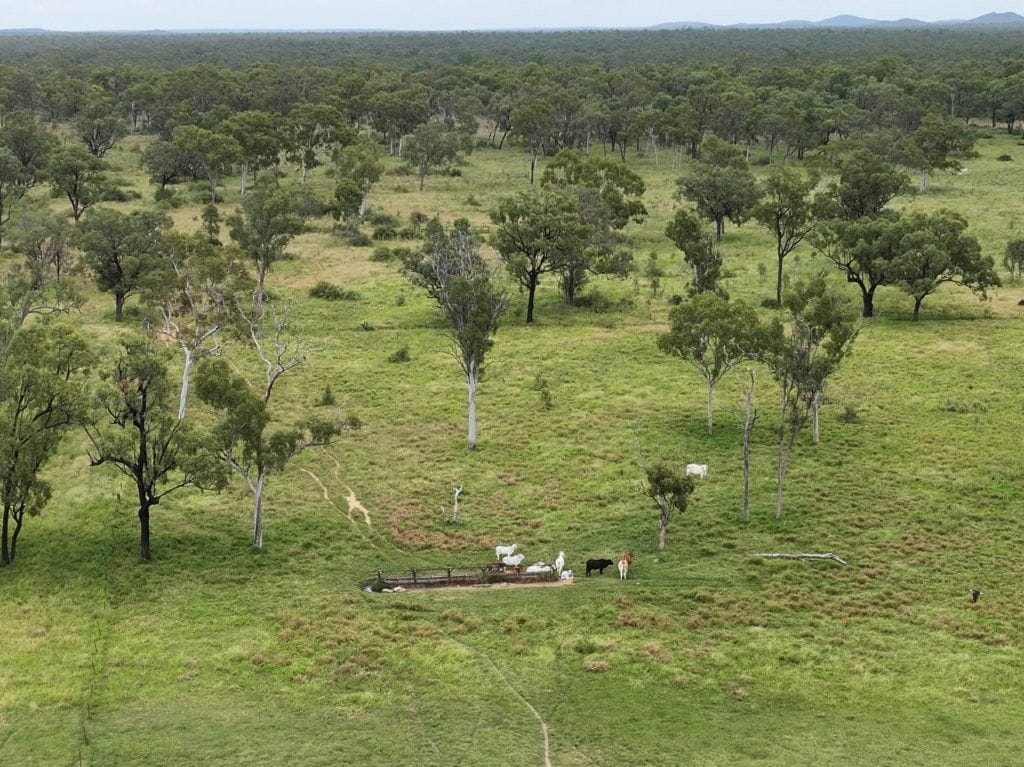 Cape River, Pentland