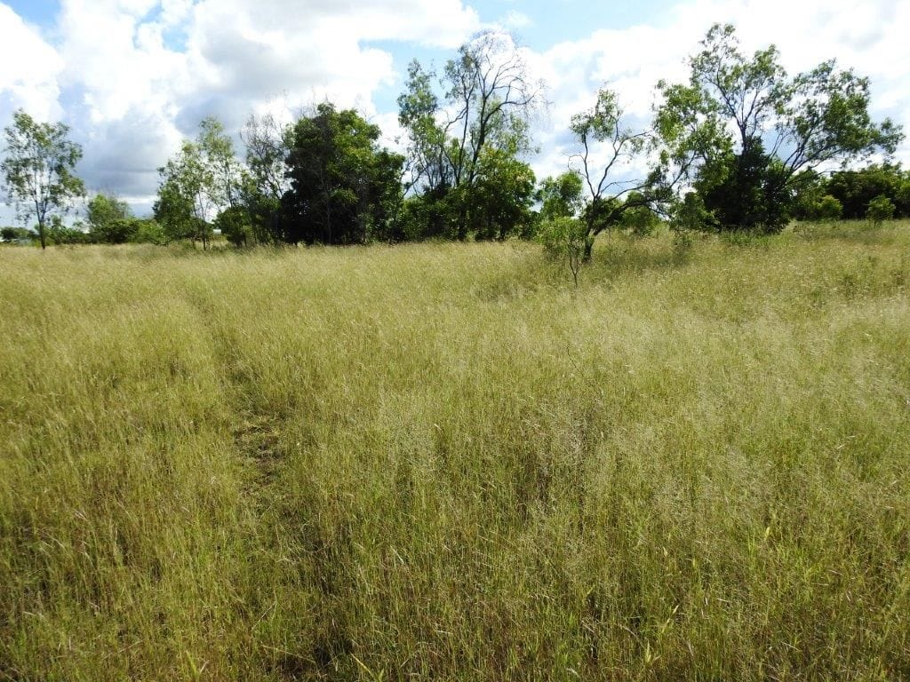 Lot 1, Read Road Toll