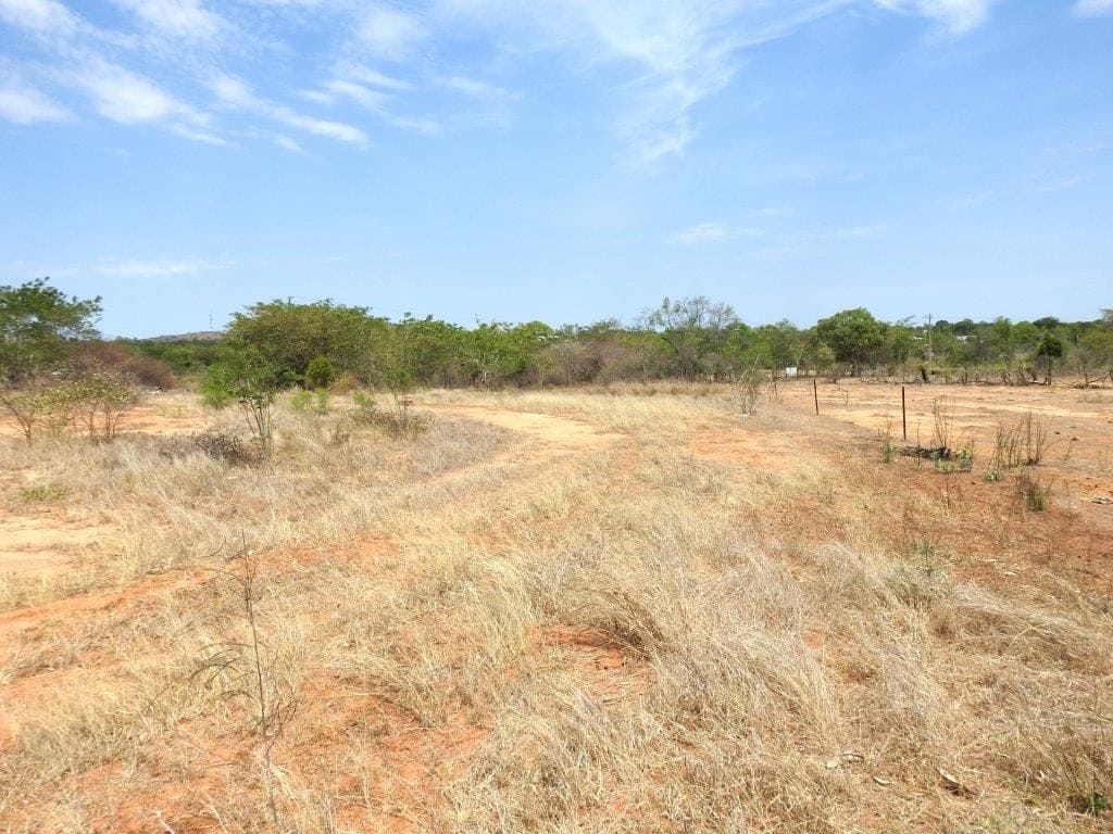 56 Bluff Road, Charters Towers