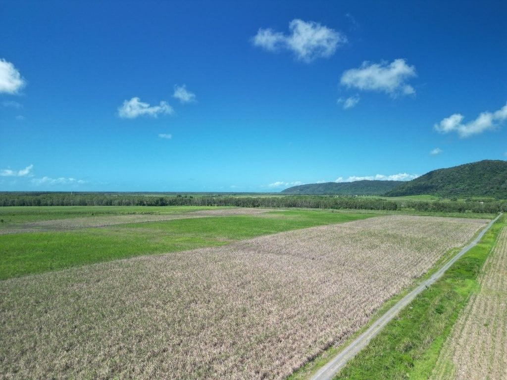 Lower Daintree Aggregation, via Mossman Nth Qld