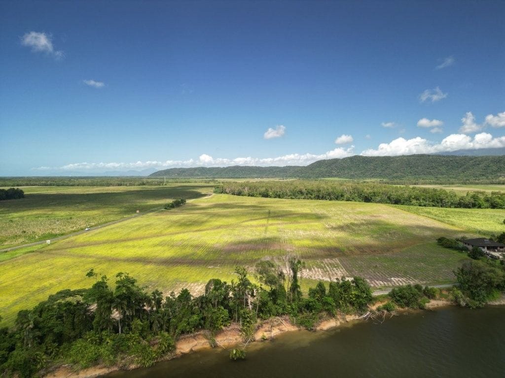Lower Daintree Aggregation, via Mossman Nth Qld