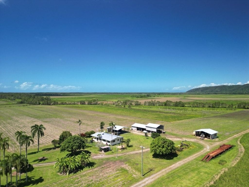 Lower Daintree Aggregation, via Mossman Nth Qld