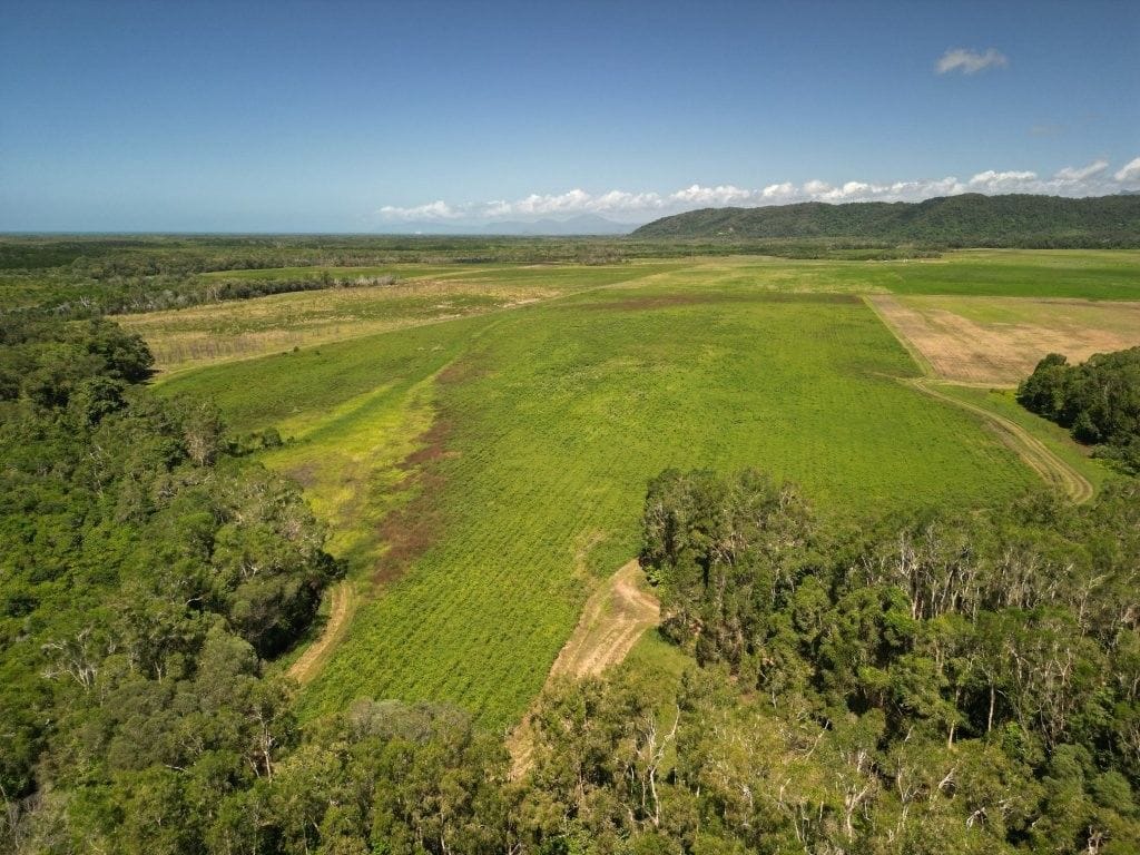 Lower Daintree Aggregation, via Mossman Nth Qld