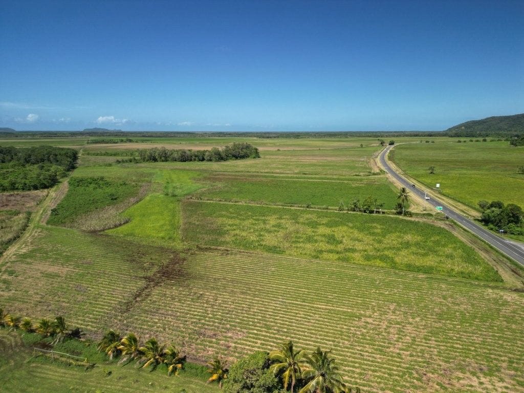 Lower Daintree Aggregation, via Mossman Nth Qld