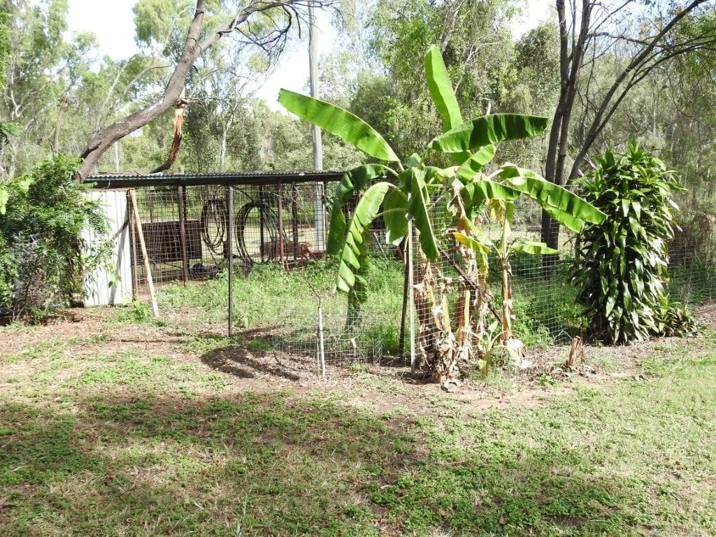 12323 Flinders Highway, Queenton
