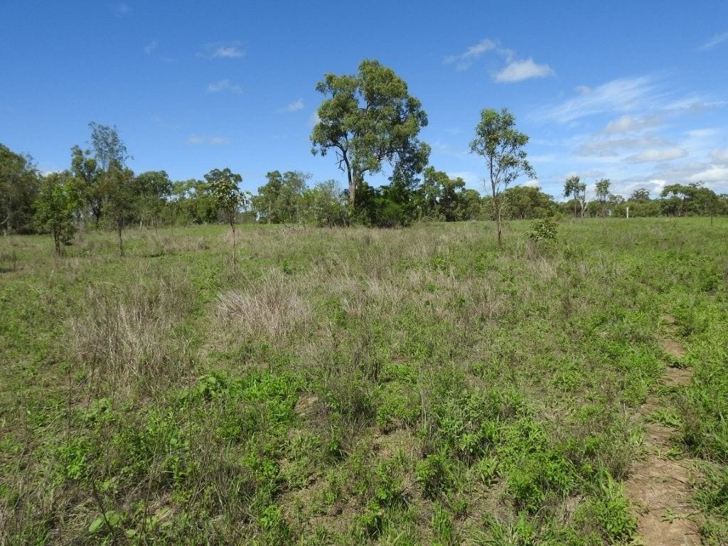 Flinders Highway, Breddan