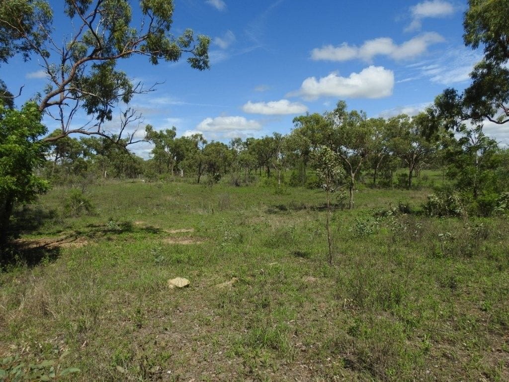 Flinders Highway, Breddan