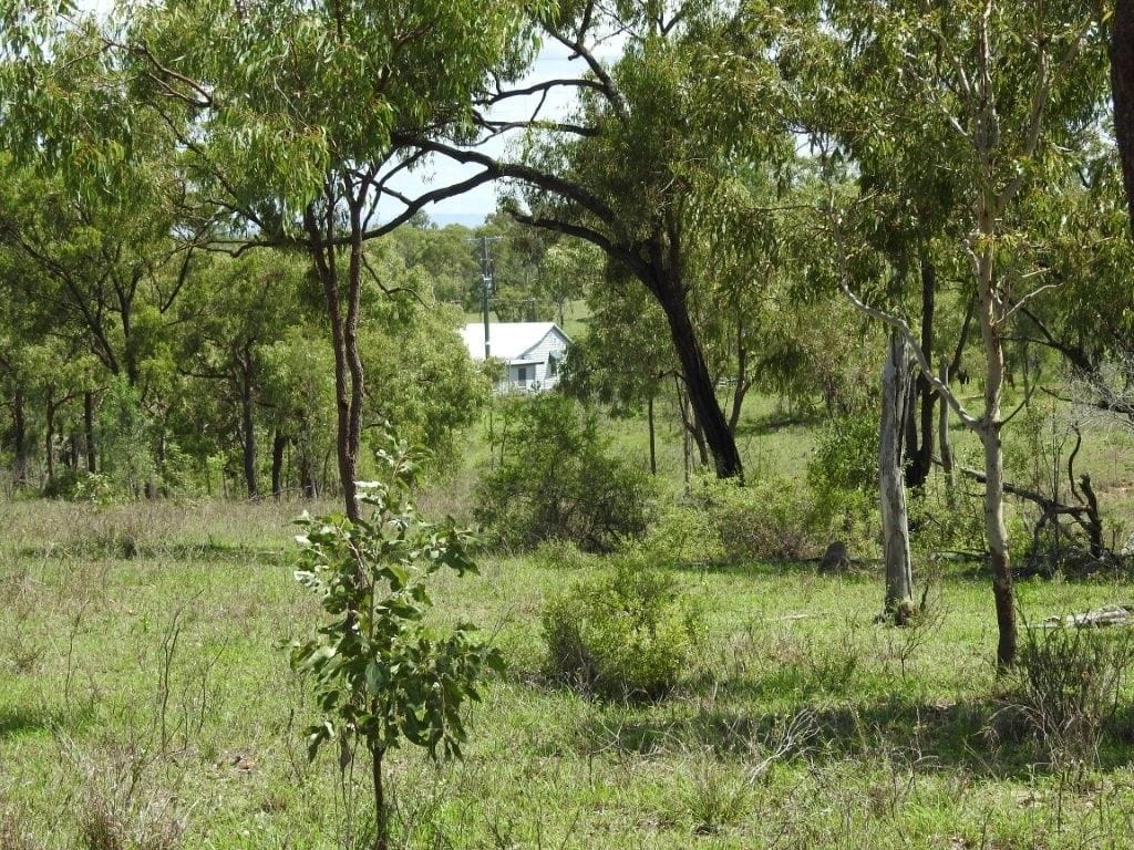 Flinders Highway, Breddan