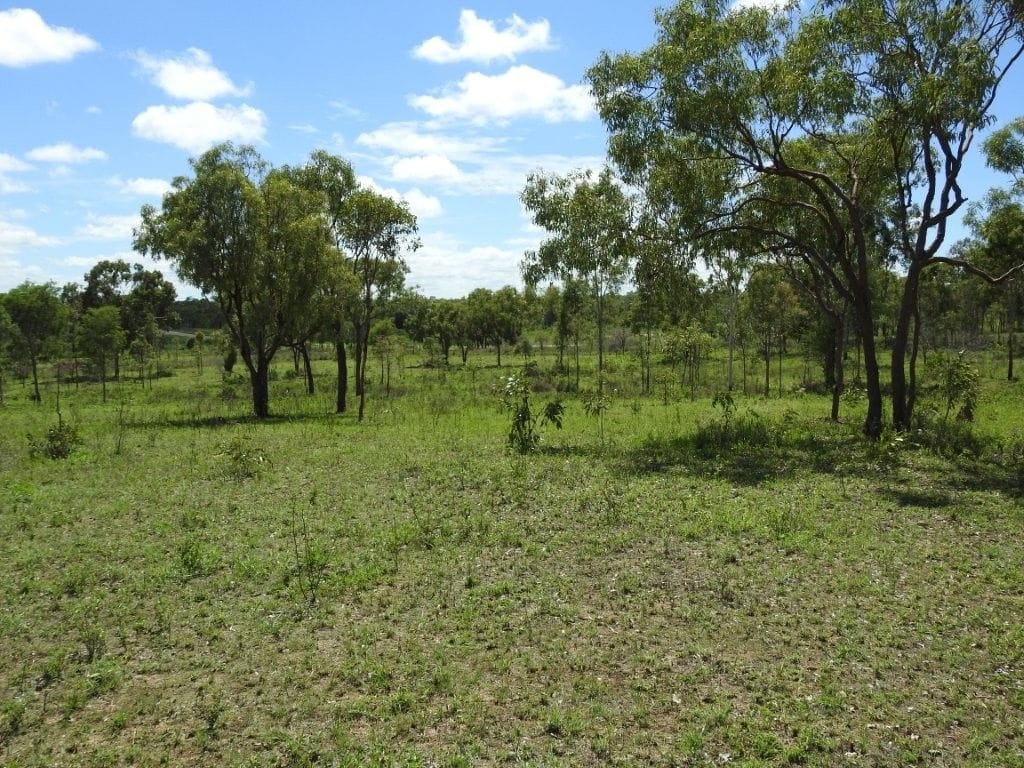 Flinders Highway, Breddan